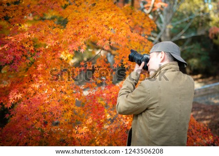 Men photographing autumn leaves