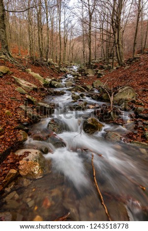 river in the forest in autumn