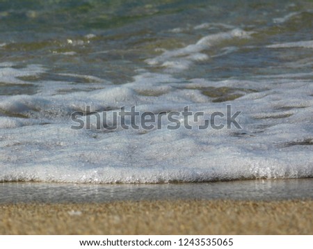 Beautiful summer sea wave