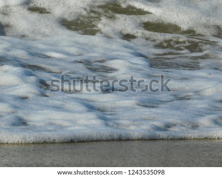 Beautiful summer sea wave