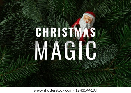 Christmas magic text. santa claus figure inside christmas tree branches. Greeting card