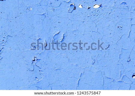 Natural background. Wall with a shabby and peeling paint, crack and plaster. blue and indigo 