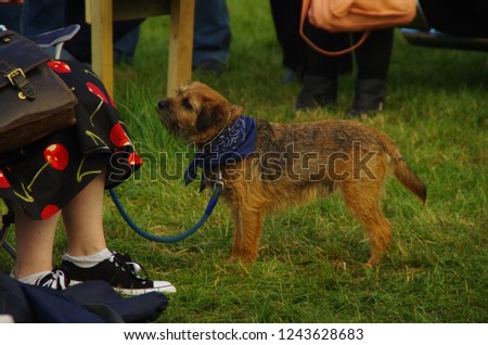 dog with owner in park