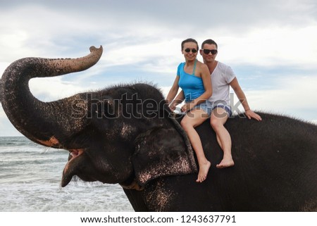 Portrait of a happy young couple on an elephant with trunk up on the background of a tropical ocean beach. Tropical coast of Sri Lanka