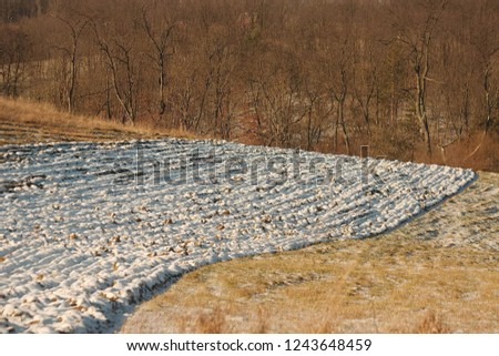 Snow covered plowed field in a winter landscape 