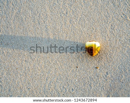 Sand with stone for background