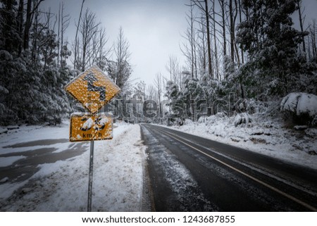 Road through the snow with a warning sign indicating to slow down