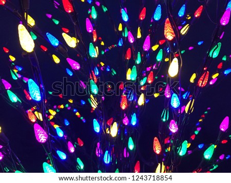 Colorful Christmas Lights On Tree Branch 