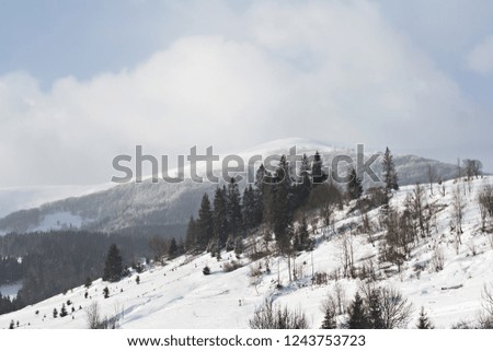 Winter mountain landscape. Mountains in the snow. The first snow in the mountains. twilight on mountain meadow covered with first frost in the Carpathian mountains.