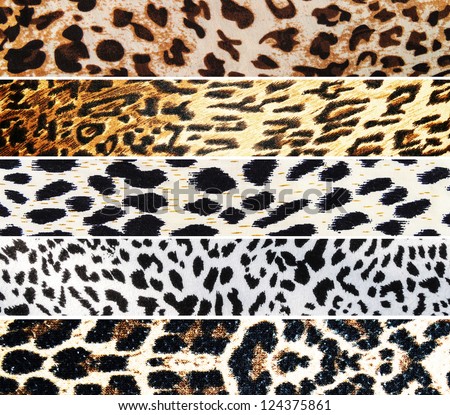 Set of Leopard textures