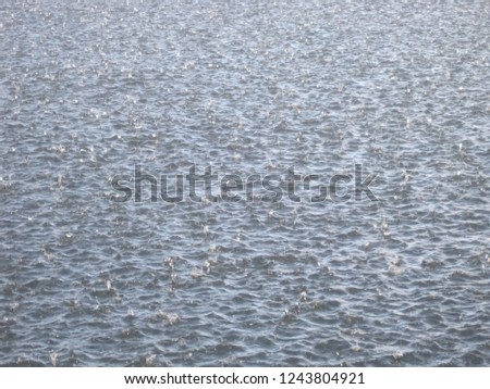 Rain drops in the ocean at a sailboat anchorage at Texada Island in British Columbia. The torrential downpour is short but intense. Viewing the picture cannot reproduce the sound and the scent though.