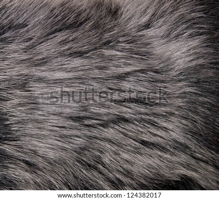 close up shot of abstract fur background Royalty-Free Stock Photo #124382017