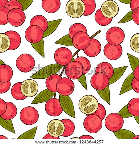Camu camu. Branch, leaves, fruit, berry. Background, wallpaper, seamless, texture. Color. Sketch.