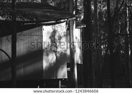 A black and white photograph of a wooden building with a metal roof amongst tall gum trees in the Australian bush.