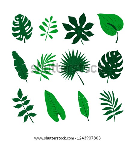 Tropical leaves set. Jungle palm leaves collection. Floral clip art. Exotic botanical print. Vector colorful isolated elements on the white background for graphic, textile, interior design.