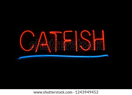 Neon Catfish Sign