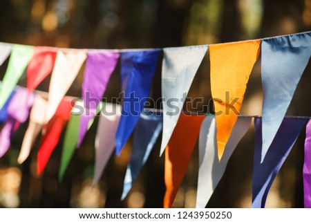 Carnival Garland with Flags, Decorative Party Pennants for Birthday Celebration, Festival and Fair Decoration, Hanging Flags, Bunting Flags ,Triangle Fabrics Hanging on the Rope, Bunting Background 