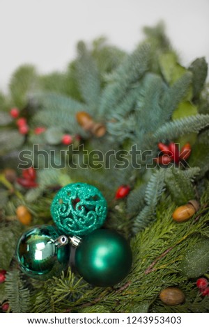Branches of Nordmann fir, blue spruce, and conifers lie in a bundle. Red berries and acorns as a contrast to the green picture.