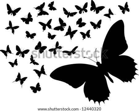 Many silhouettes of different butterflies