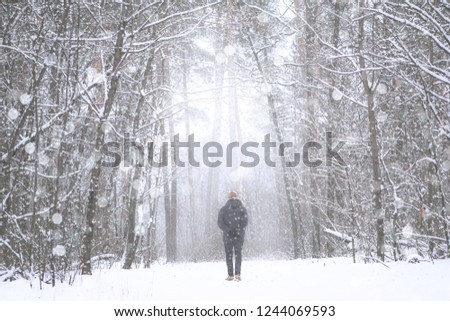 Snow day, light photo. The man in a winter jacket and a cap. Around the snow wood, trees in snow. The road through the park.