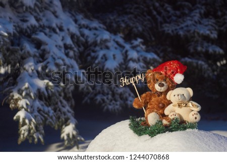  Teddy Bear and his girlfriend are sitting in a snowy coniferous forest and celebrate the New Year and Christmas.                           