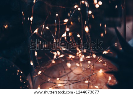 trendy light blurred christmas decoration inside vase glass