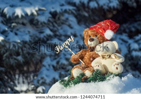  Teddy bear and his girlfriend are sitting in a winter forest and holding a sign "Happy".              