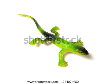 Rubber green lizard toy on white background.
