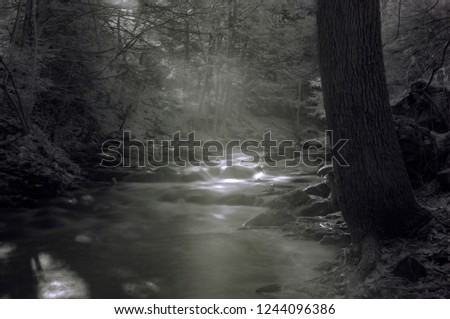Infrared Photos Penetrate Fog And Forest Trees Illuminating Mountain Stream