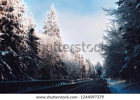 Winter fairy tale in taiga spruce forest Scenic image asphalt road travel  winding wonderland fresh snow woodland . Christmas winter national park, Europe Alps . Copy space background. Happy New Year!