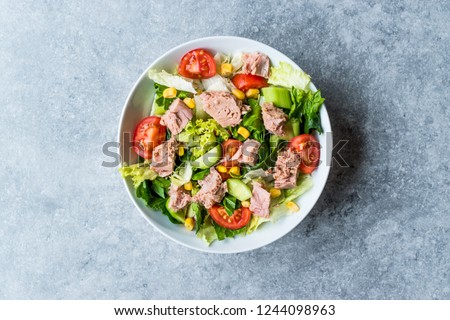 Tuna Fish Salad with Lettuce, Cherry Tomatoes, Cucumber and Corn. Royalty-Free Stock Photo #1244098963
