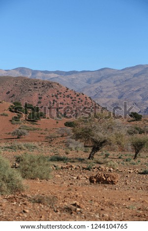 landscape around Agadir Morocco