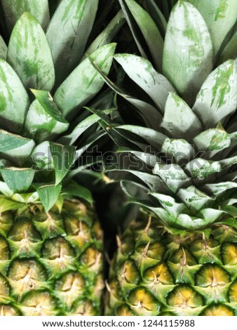 pineapple harvest for textures