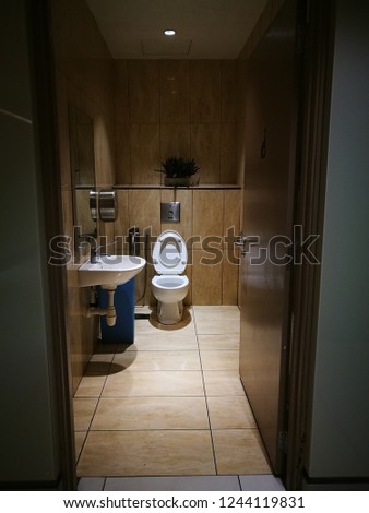 Toilet for the disabled person