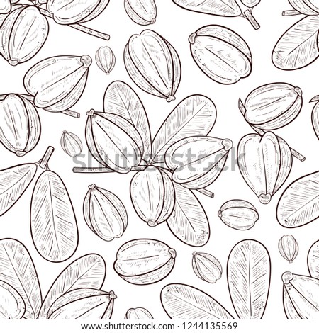 Arjuna. Fruit, leaves. Seamless, texture, background, wallpaper. Sketch. Monophonic.