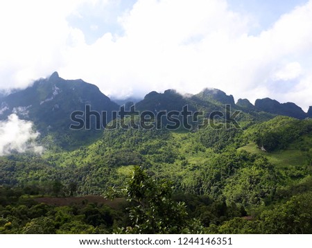 Large limestone mountains. Beautiful scenery. North of Thailand Doi Luang Chiang Dao. The forest is a semi-natural forests of Alpine. Mountains and panoramic fog. Chiang Mai.  rainy season. Clouds.