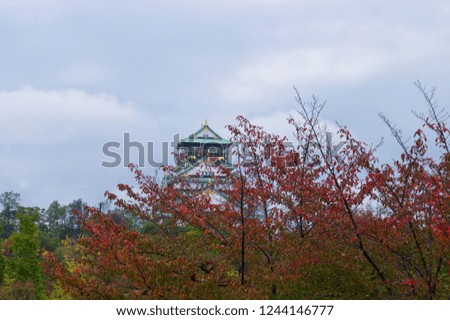 Colored leaves scenery around Osaka-jo Castle.