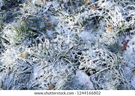 snow frost grass winter