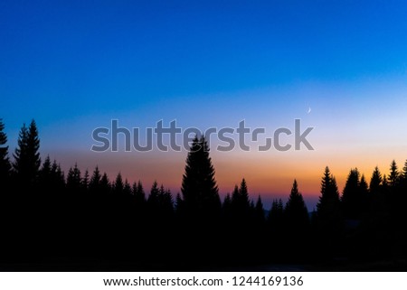 Beautiful background wallpaper photo of night sunset sky and trees or forest silhouette. Moon on the blue and orange sky. Mountain landscape and forest at dusk.