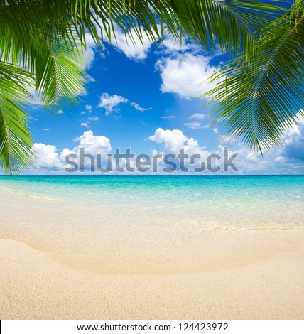 beautiful beach and tropical sea Royalty-Free Stock Photo #124423972