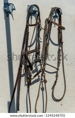 Horse bridles. Set of leather horse Bridles and bits hanging on wall of a stable