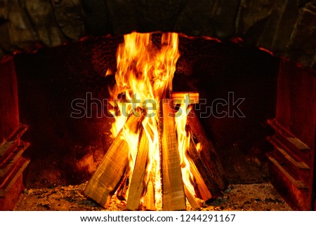 Burning firewood on a dark background in the fireplace.