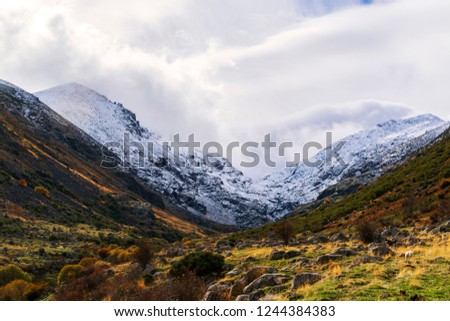 Autumn and winter contrasts. Colorful bushes and trees in the valley that contrast with the snowed mountains