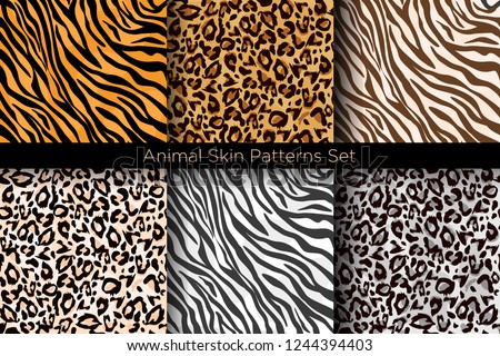Vector illustration set of animal seamless prints. Tiger and leopard patterns collection in different colors in flat style. Royalty-Free Stock Photo #1244394403