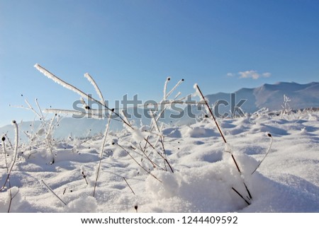 Winter landscape, sky and snow