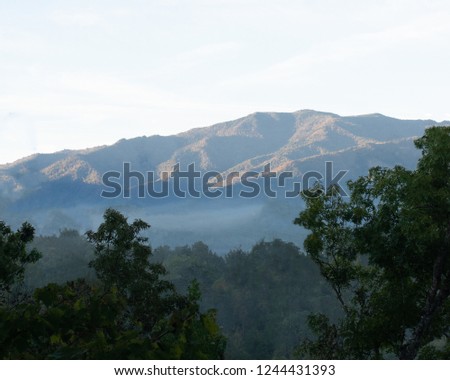 Mist on the Mountains