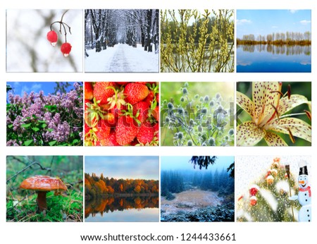 Different twelve colored images of nature for calendar. Ready photo for calendar. Pictures for yearly calendar. Placard for office