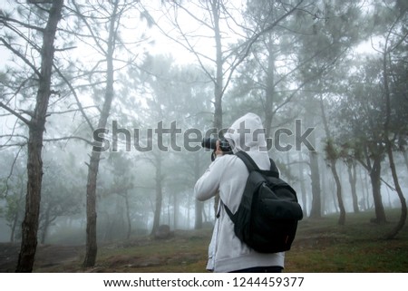 View from behind the photography man in beautiful nature landscape pine forest at "Phu Ruea National Park" with soft light Morning Mist,dew and cool air in autumn season Loei, thailand.