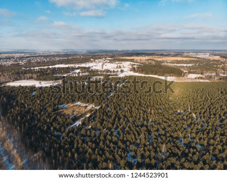 Aerial panorama of nature winter landscape of pine forest from above, drone shot