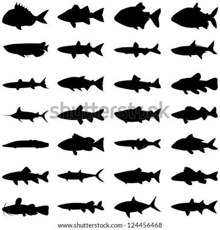 Editable illustration vector of different kinds of Fish Silhouette.